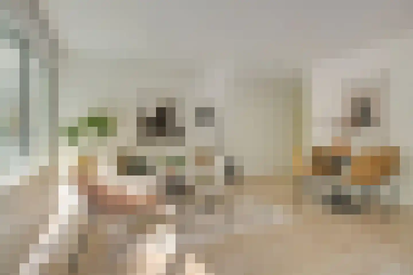 Gouden Leeuw 807 Amsterdam thumbnail 6