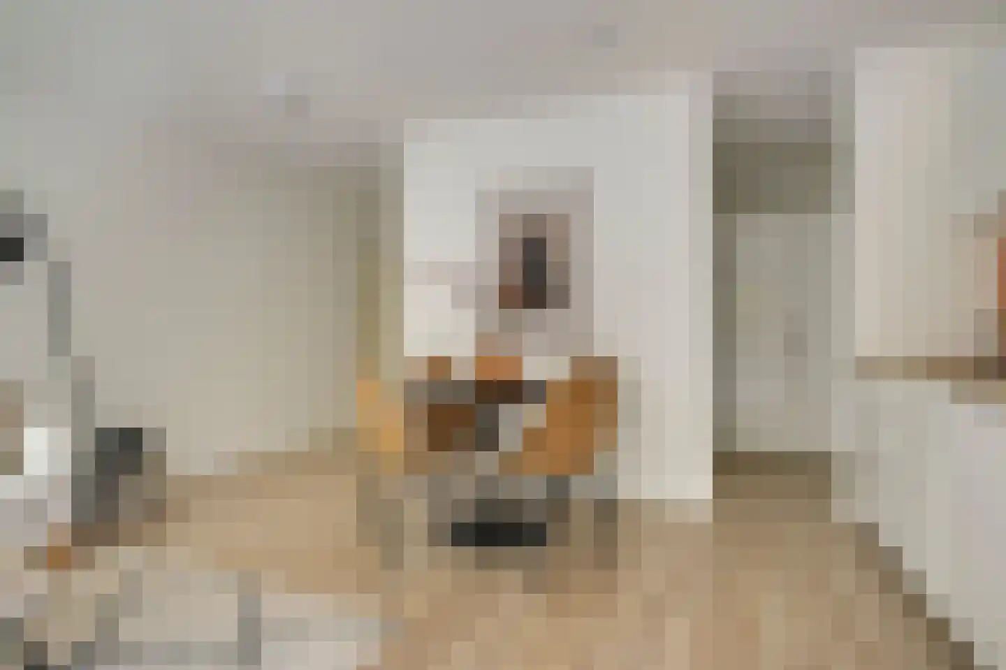 Gouden Leeuw 807 Amsterdam thumbnail 7