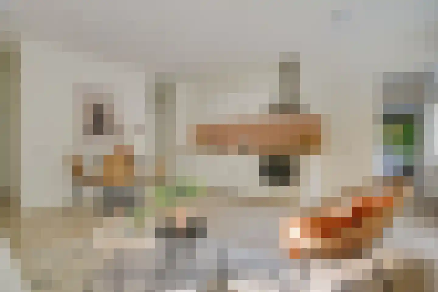 Gouden Leeuw 807 Amsterdam thumbnail 8