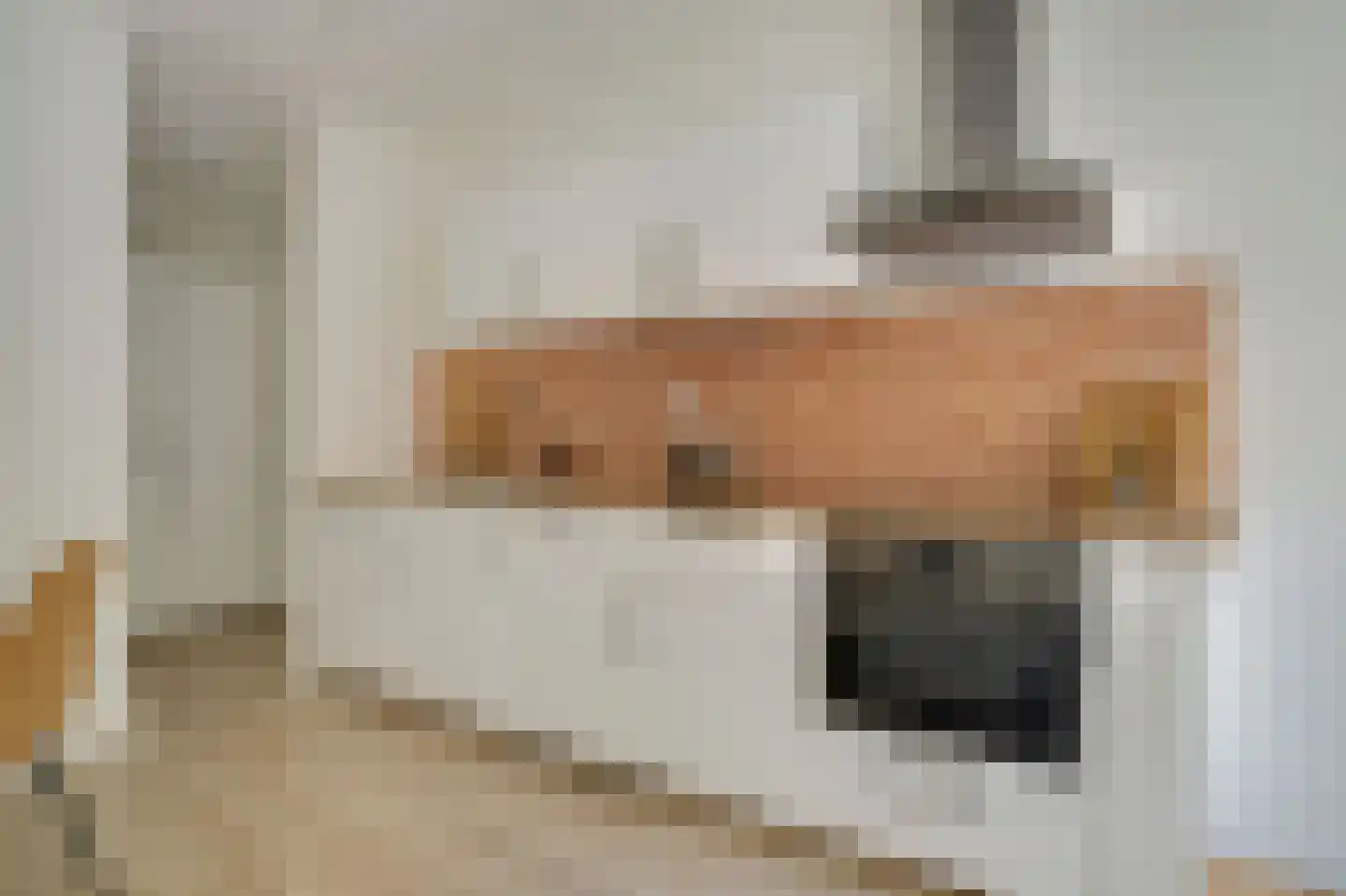Gouden Leeuw 807 Amsterdam thumbnail 9