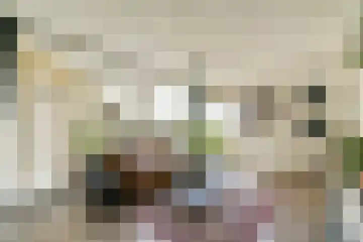 Gouden Leeuw 836 in Amsterdam