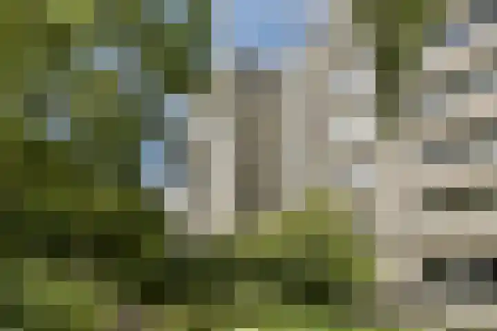 Gouden Leeuw 836 Amsterdam thumbnail 17