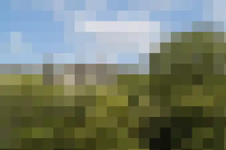 Gouden Leeuw 836 Amsterdam thumbnail 4