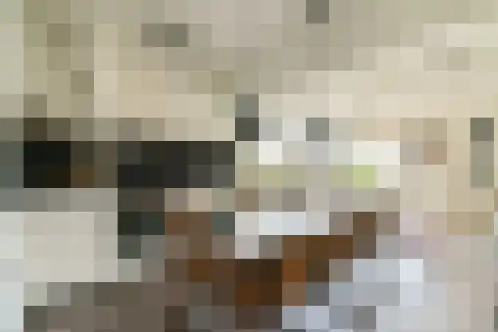 Gouden Leeuw 836 Amsterdam thumbnail 5