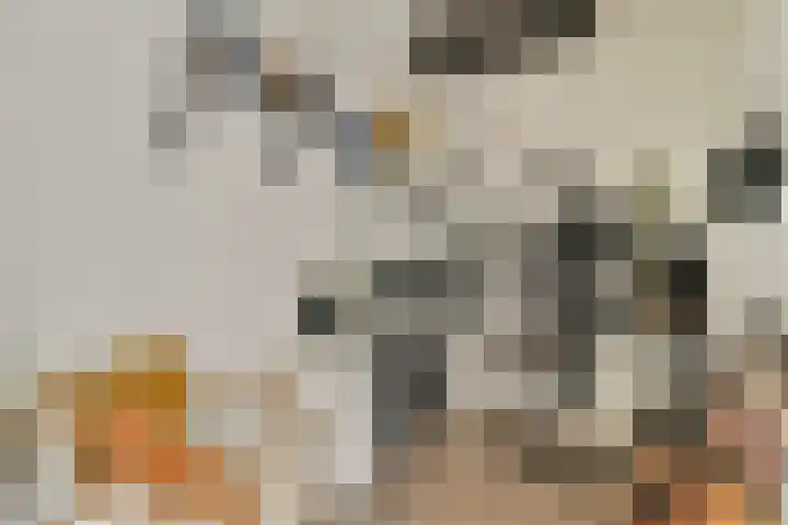 Gouden Leeuw 836 Amsterdam thumbnail 7