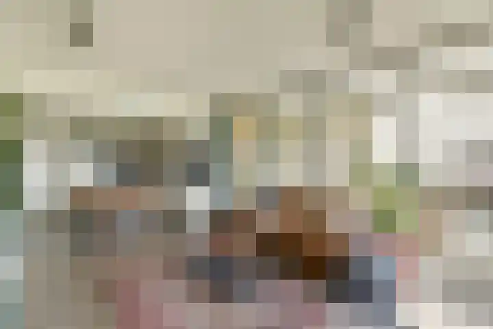Gouden Leeuw 836 Amsterdam thumbnail 9