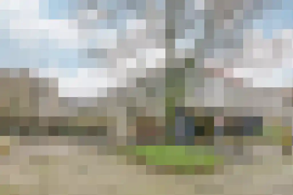 Gouden Leeuw 837 Amsterdam thumbnail 17