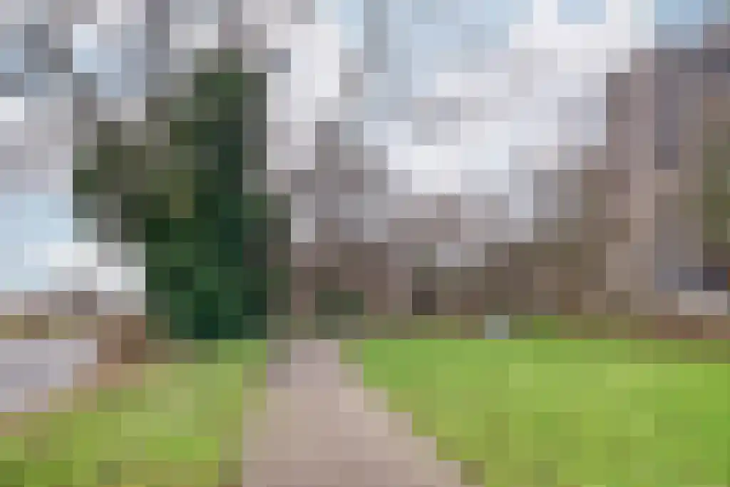 Gouden Leeuw 837 Amsterdam thumbnail 18