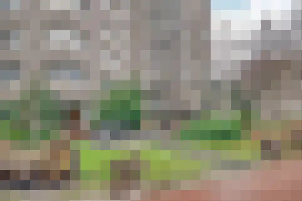 Gouden Leeuw 837 Amsterdam thumbnail 19