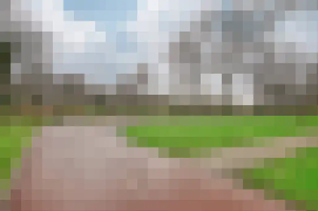Gouden Leeuw 837 Amsterdam thumbnail 20