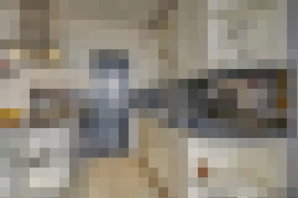 Gouden Leeuw 837 Amsterdam thumbnail 6