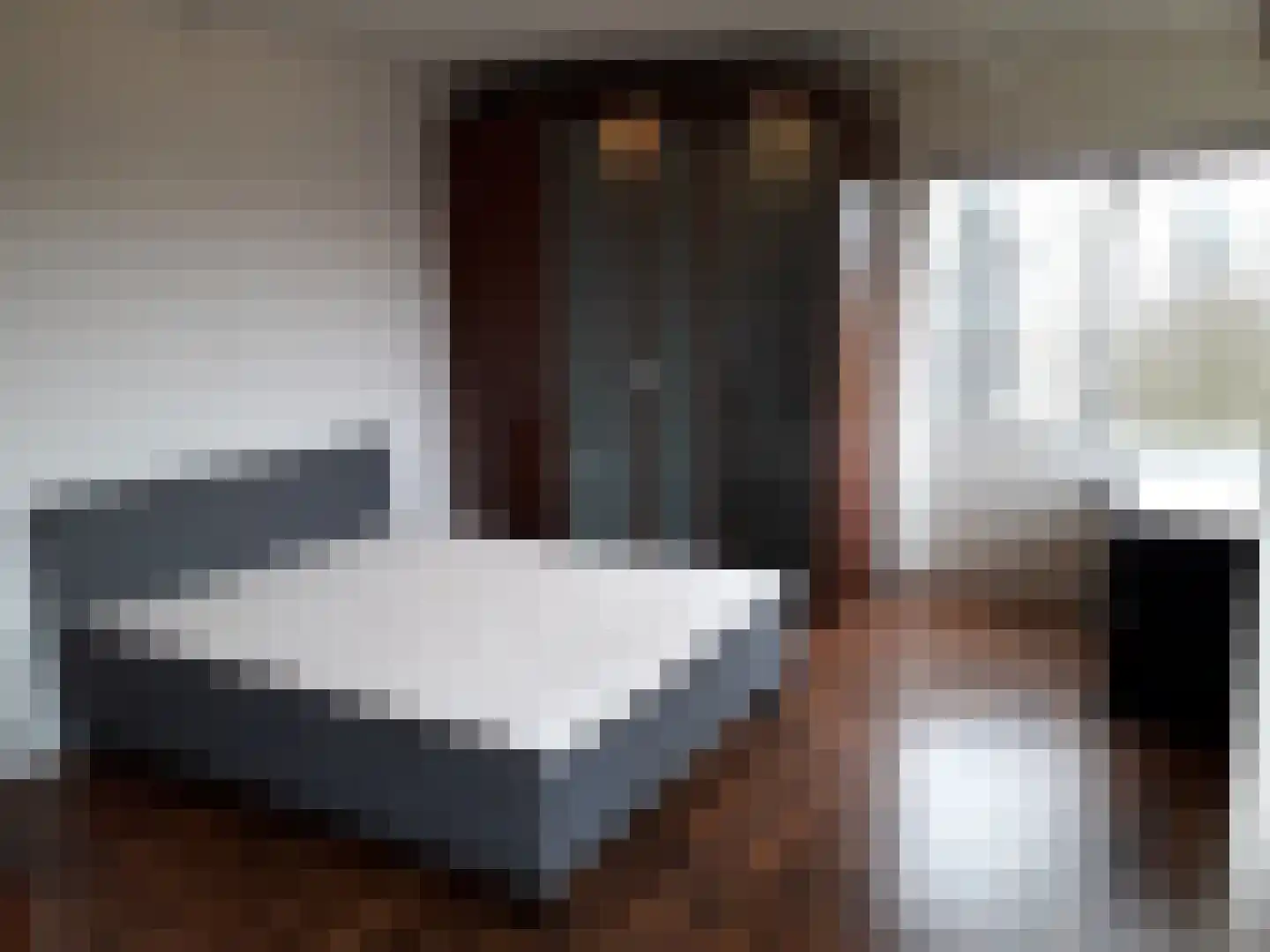 Gouden Leeuw 837 Amsterdam thumbnail 9