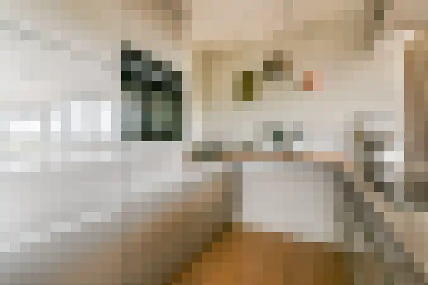 Gouden Leeuw 838 Amsterdam thumbnail 13