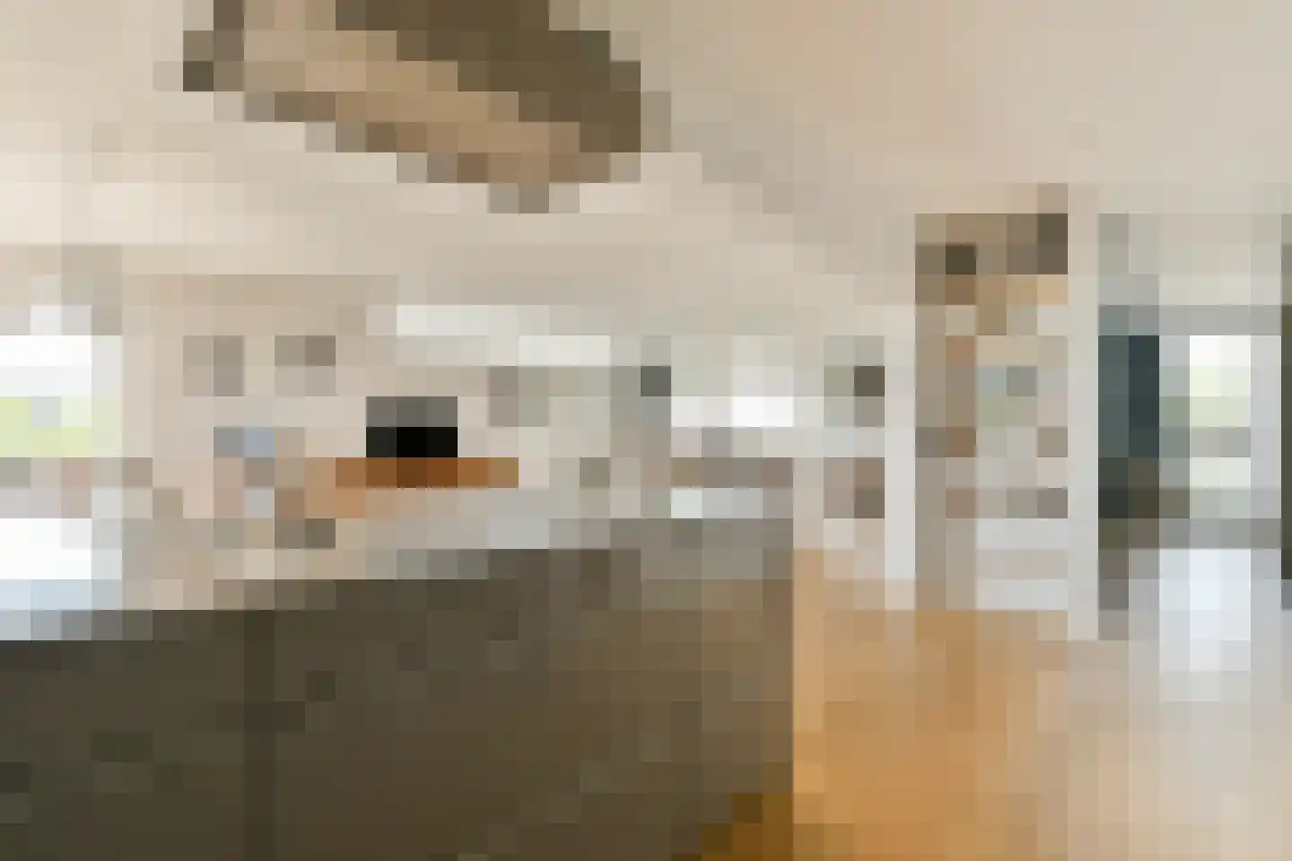 Gouden Leeuw 838 Amsterdam thumbnail 15