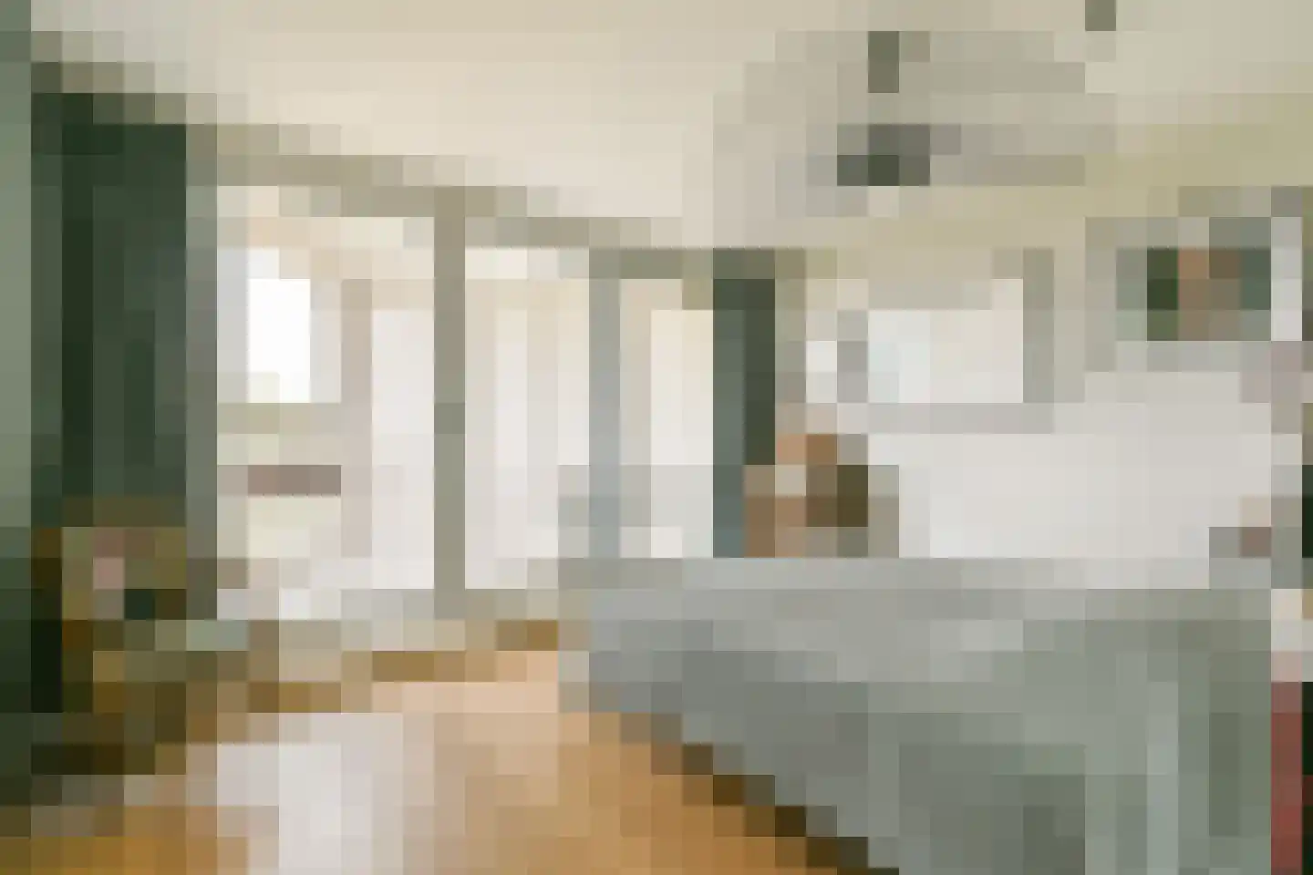 Gouden Leeuw 838 Amsterdam thumbnail 17