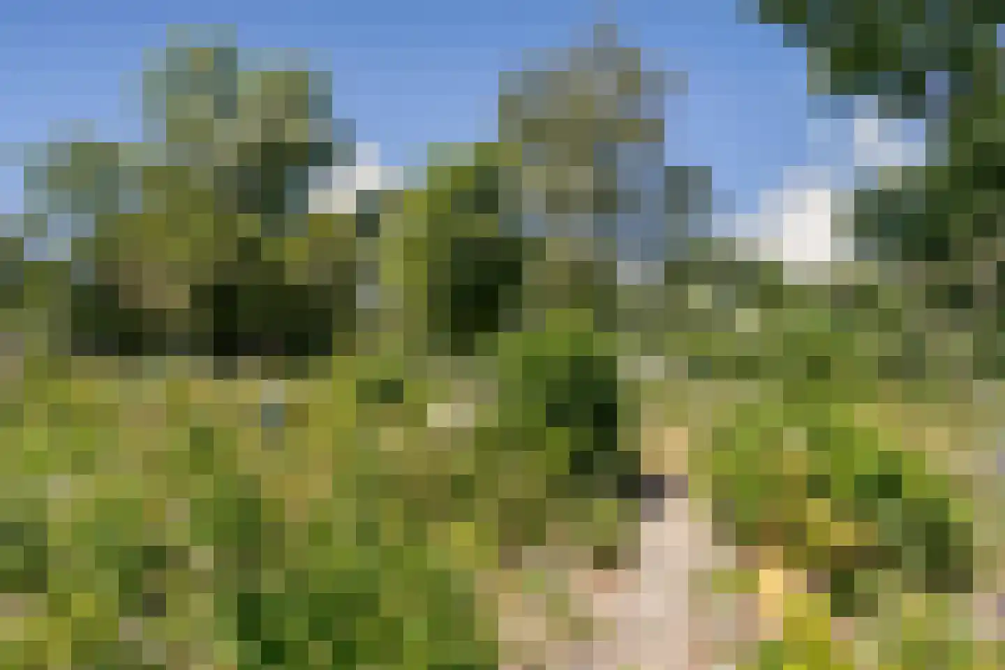 Gouden Leeuw 838 Amsterdam thumbnail 22