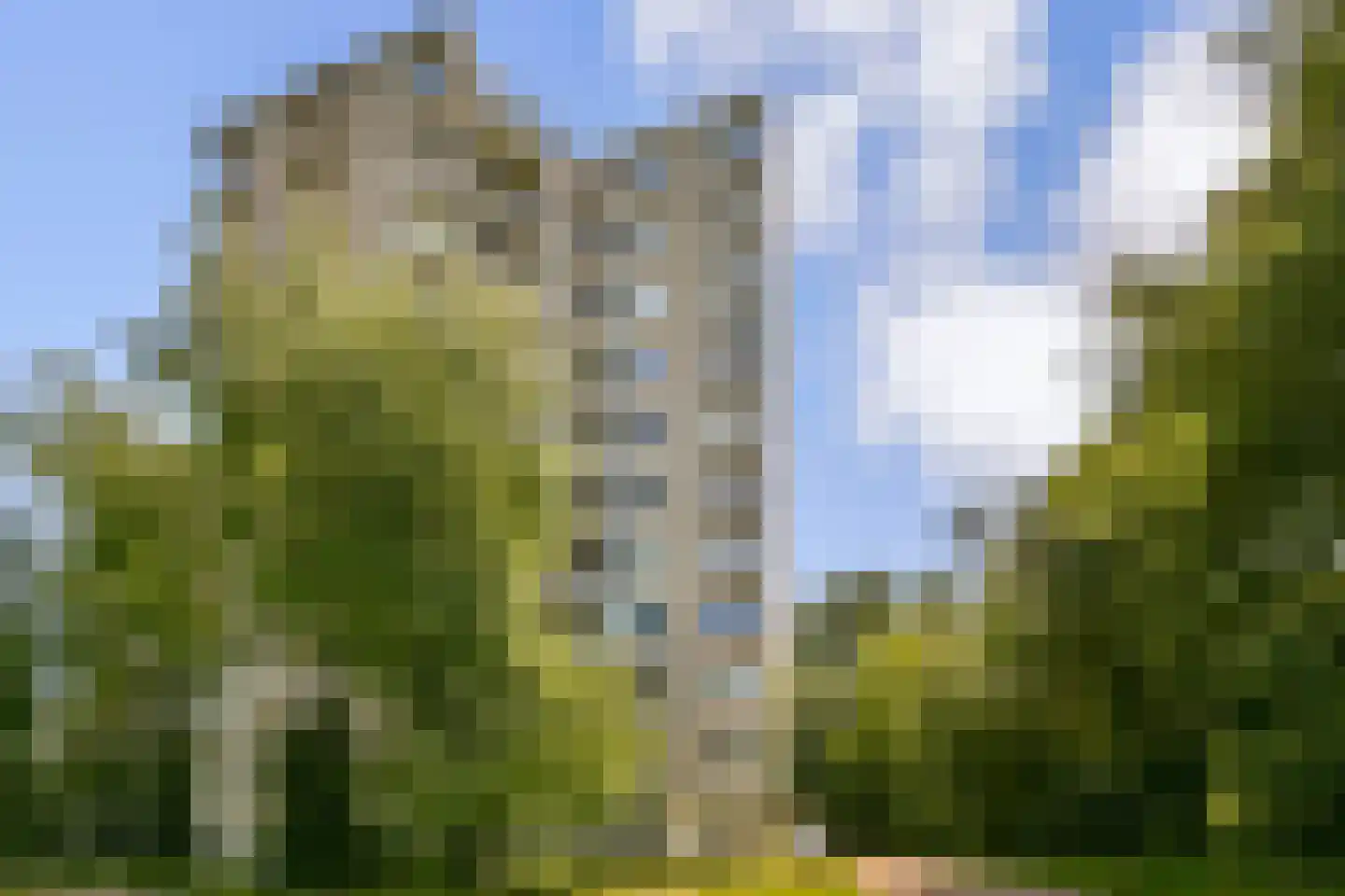 Gouden Leeuw 838 Amsterdam thumbnail 27