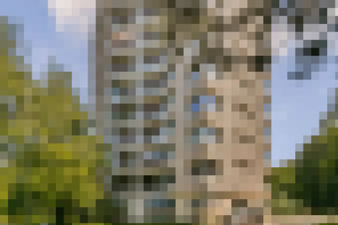 Gouden Leeuw 838 Amsterdam thumbnail 28