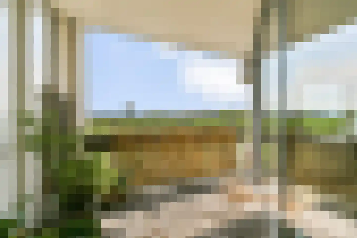 Gouden Leeuw 838 Amsterdam thumbnail 4