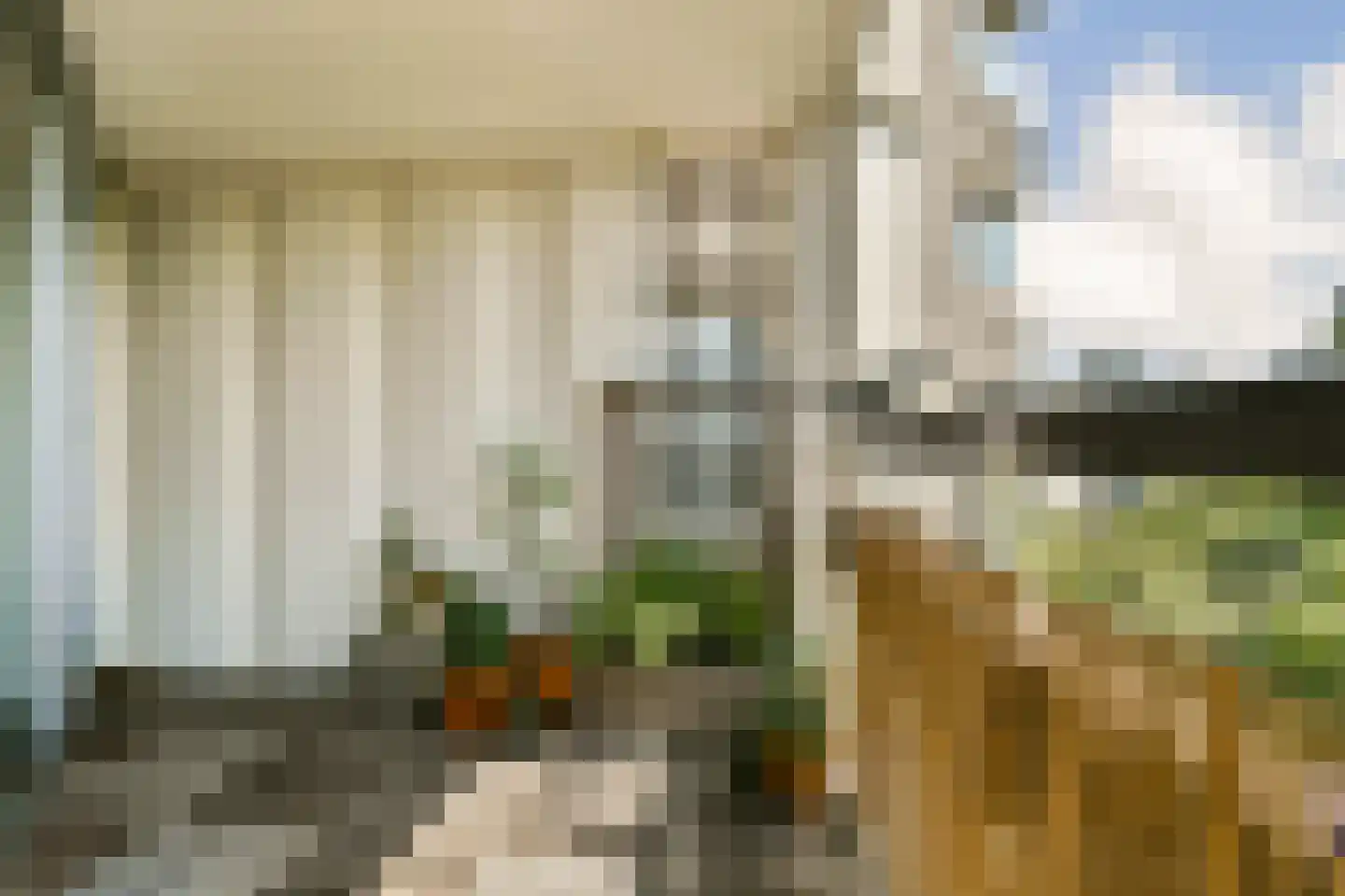 Gouden Leeuw 838 Amsterdam thumbnail 5