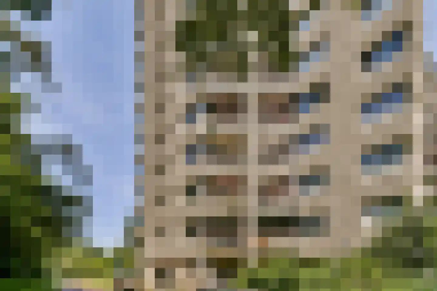 Gouden Leeuw 838 Amsterdam thumbnail 7