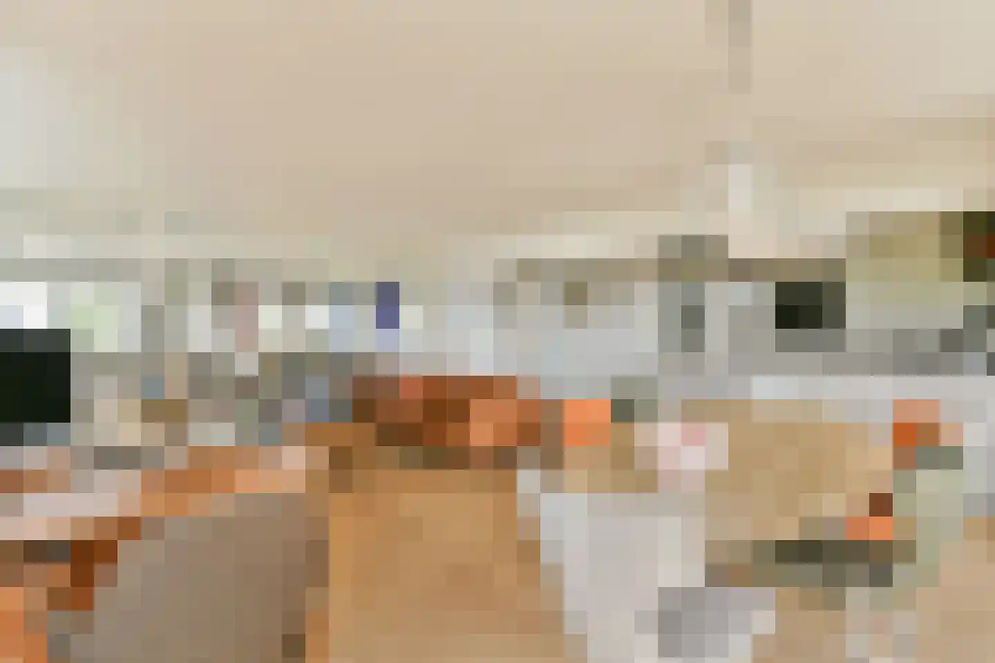 Gouden Leeuw 838 Amsterdam thumbnail 9