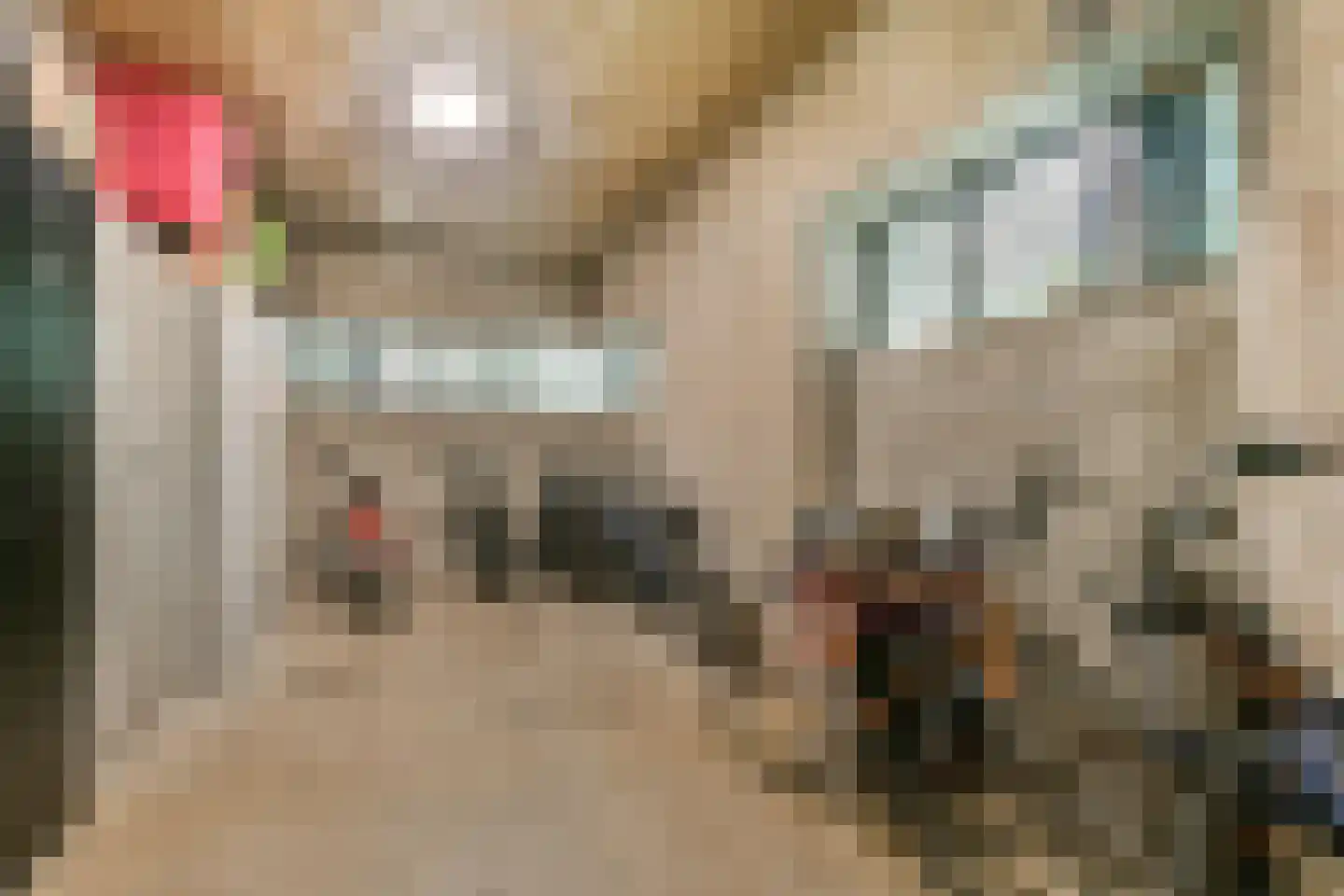 Gouden Leeuw 851 Amsterdam thumbnail 17
