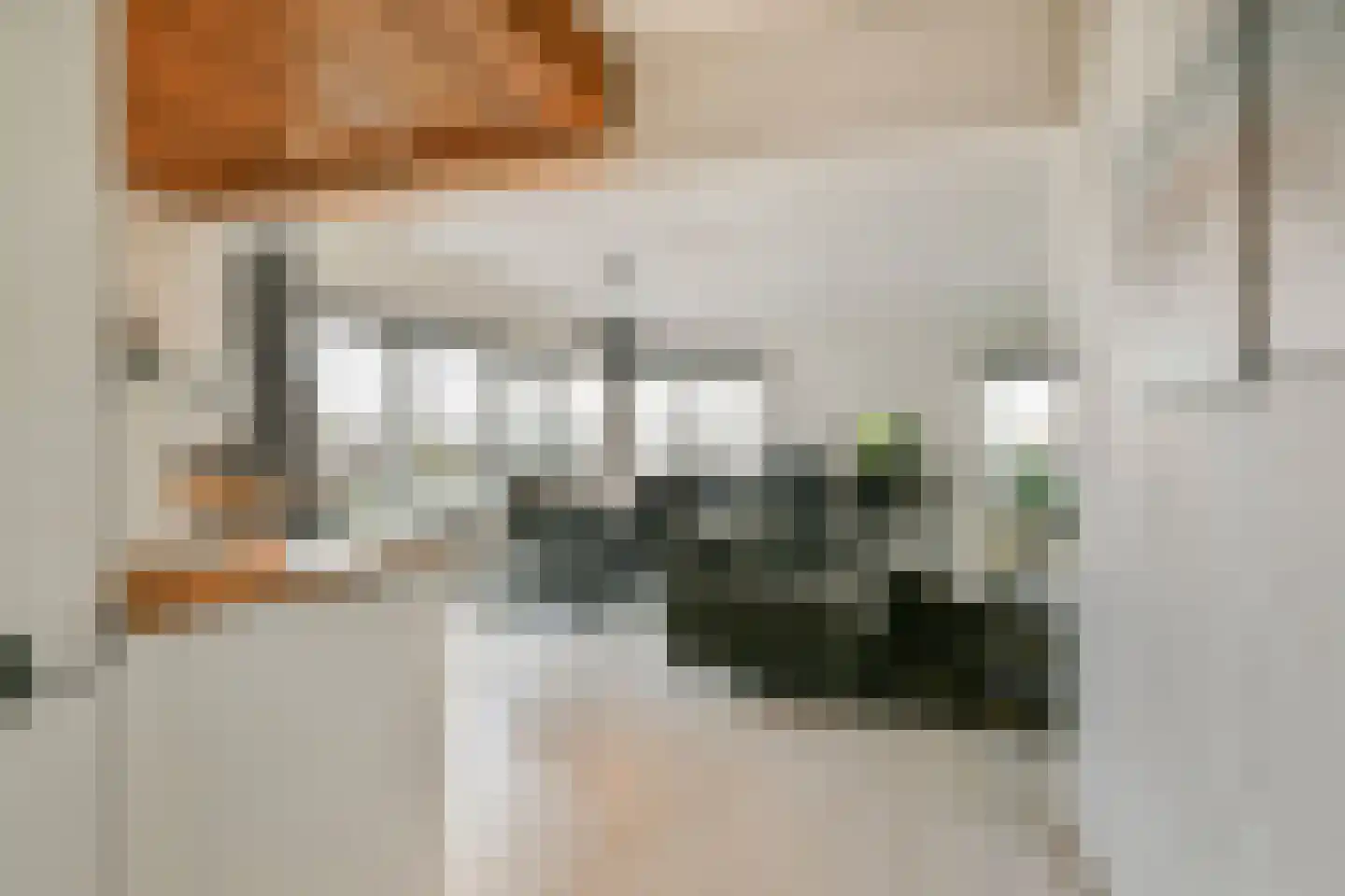 Gouden Leeuw 851 Amsterdam thumbnail 4