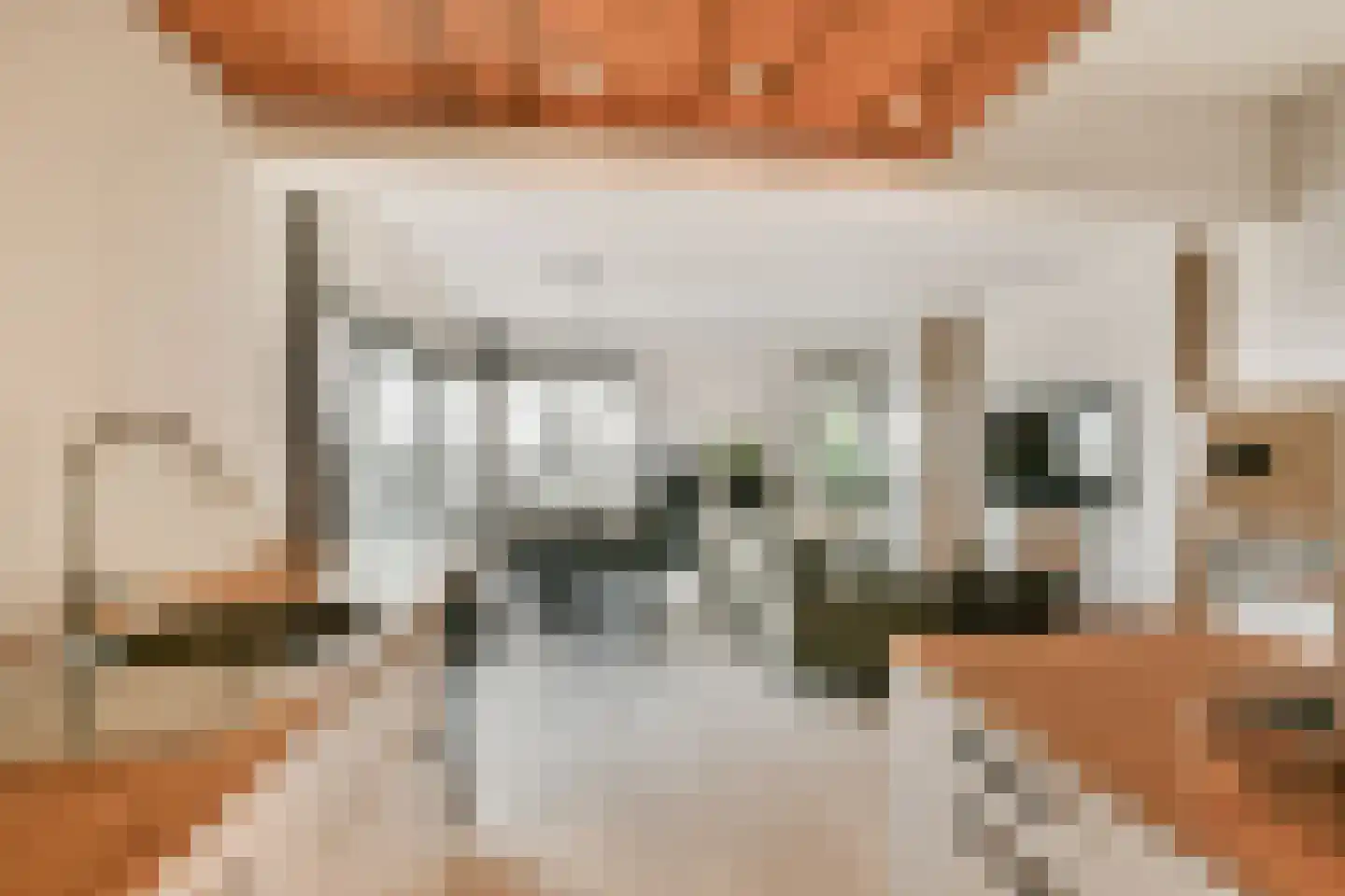 Gouden Leeuw 851 Amsterdam thumbnail 8