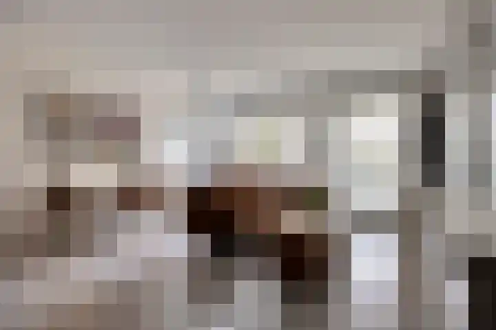 Gouden Leeuw 912 Amsterdam thumbnail 10