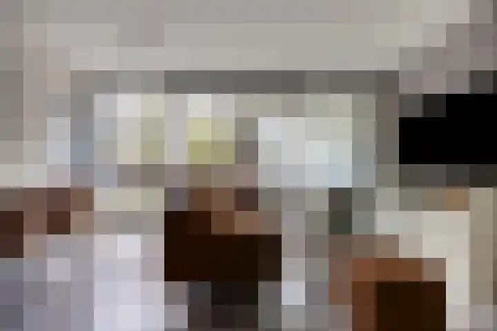 Gouden Leeuw 912 Amsterdam thumbnail 11