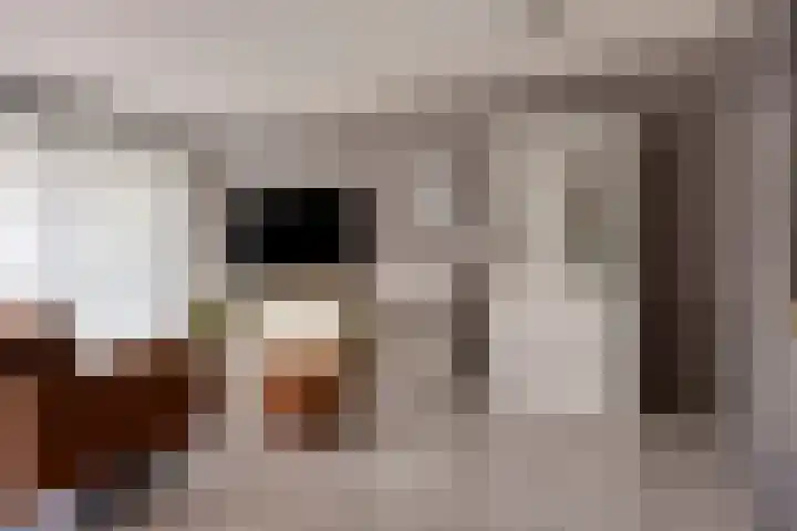 Gouden Leeuw 912 Amsterdam thumbnail 12