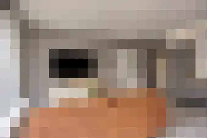 Gouden Leeuw 912 Amsterdam thumbnail 13