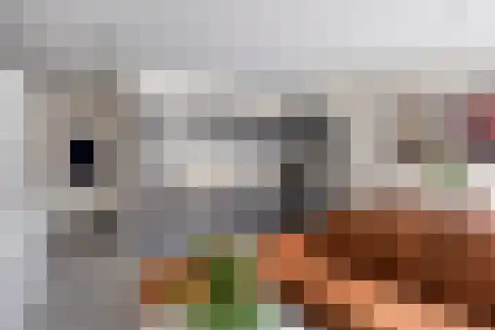 Gouden Leeuw 912 Amsterdam thumbnail 15