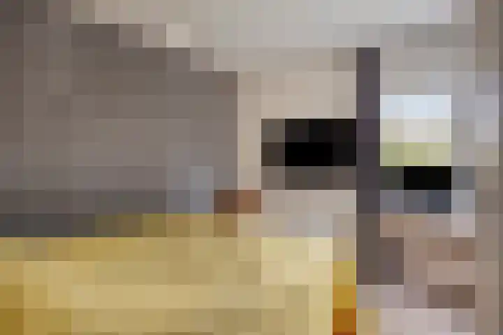 Gouden Leeuw 912 Amsterdam thumbnail 19