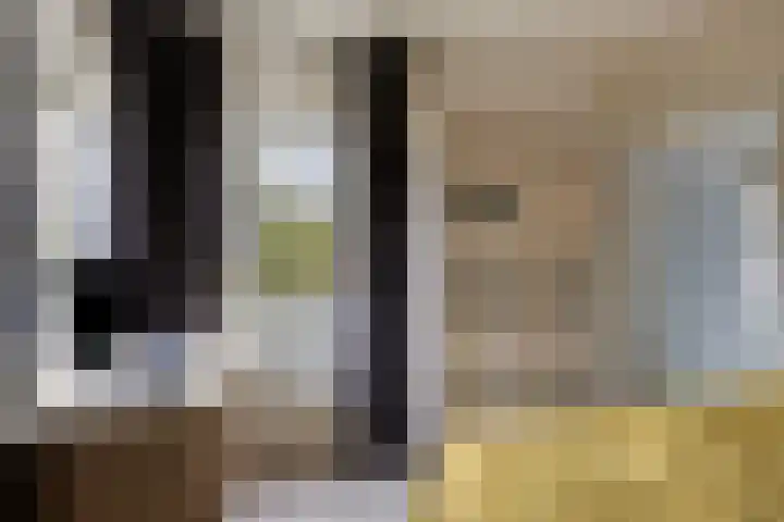 Gouden Leeuw 912 Amsterdam thumbnail 21