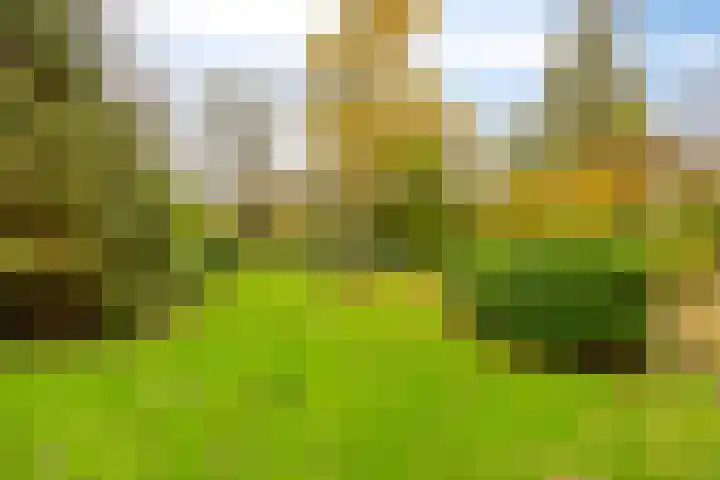 Gouden Leeuw 912 Amsterdam thumbnail 25