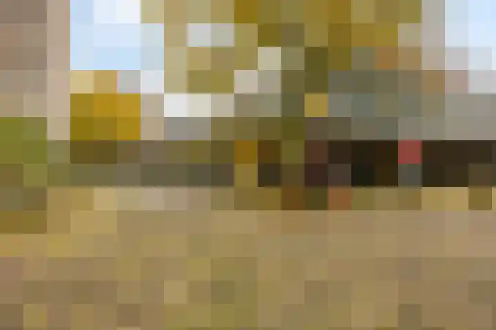 Gouden Leeuw 912 Amsterdam thumbnail 27