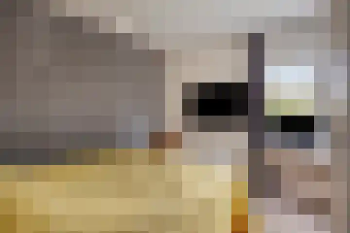 Gouden Leeuw 912 Amsterdam thumbnail 4