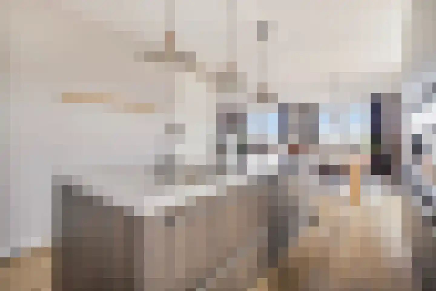 Gouden Leeuwplein 41 Venray thumbnail 18