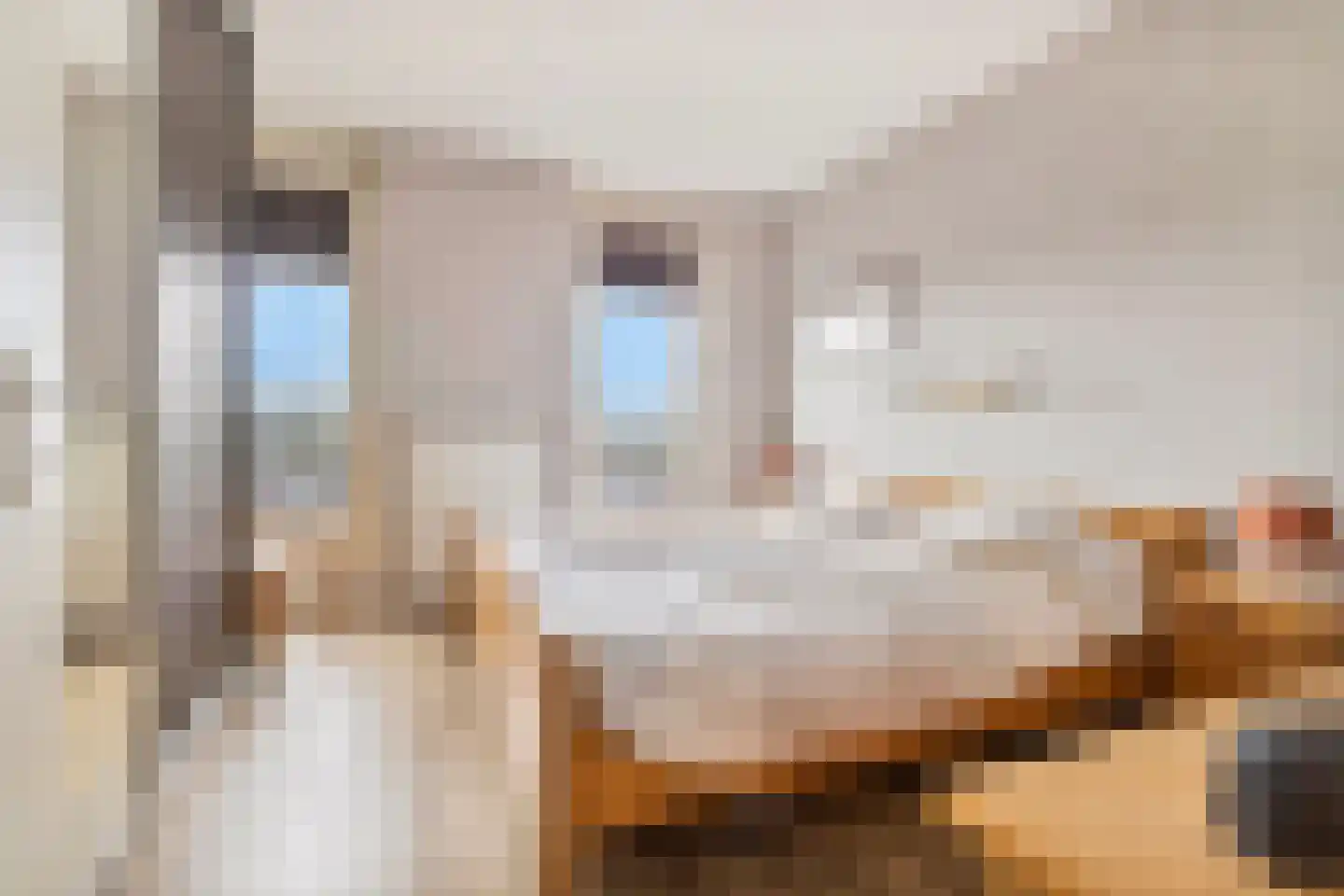 Gouden Leeuwplein 41 Venray thumbnail 21