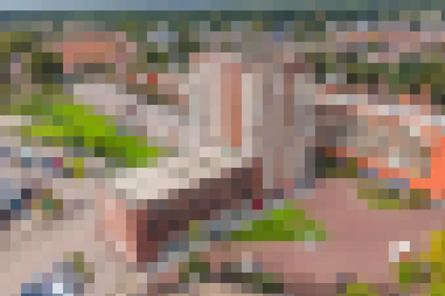 Gouden Leeuwplein 41 Venray thumbnail 35