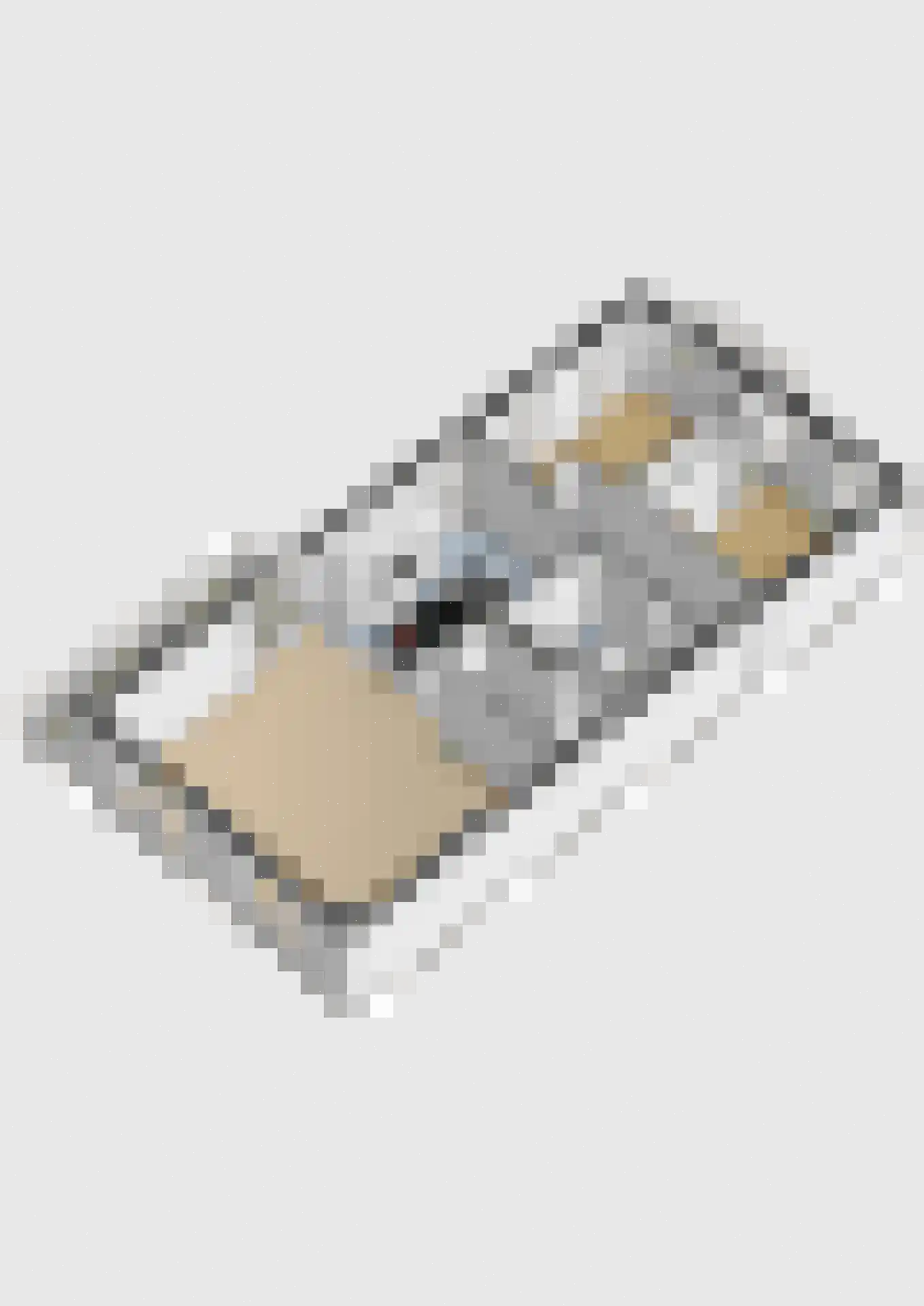 Gouden Leeuwplein 41 Venray thumbnail 37