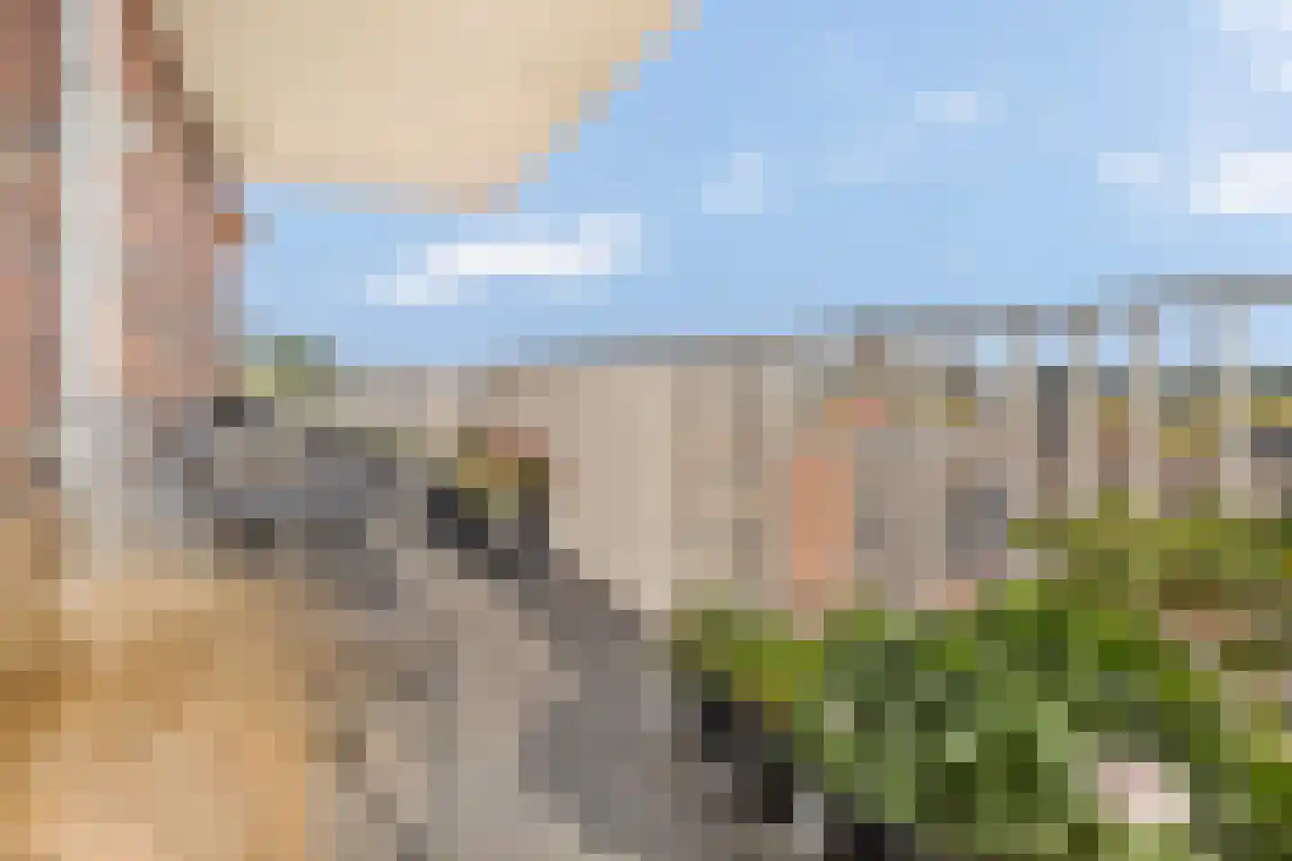 Gouden Leeuwplein 41 Venray thumbnail 4
