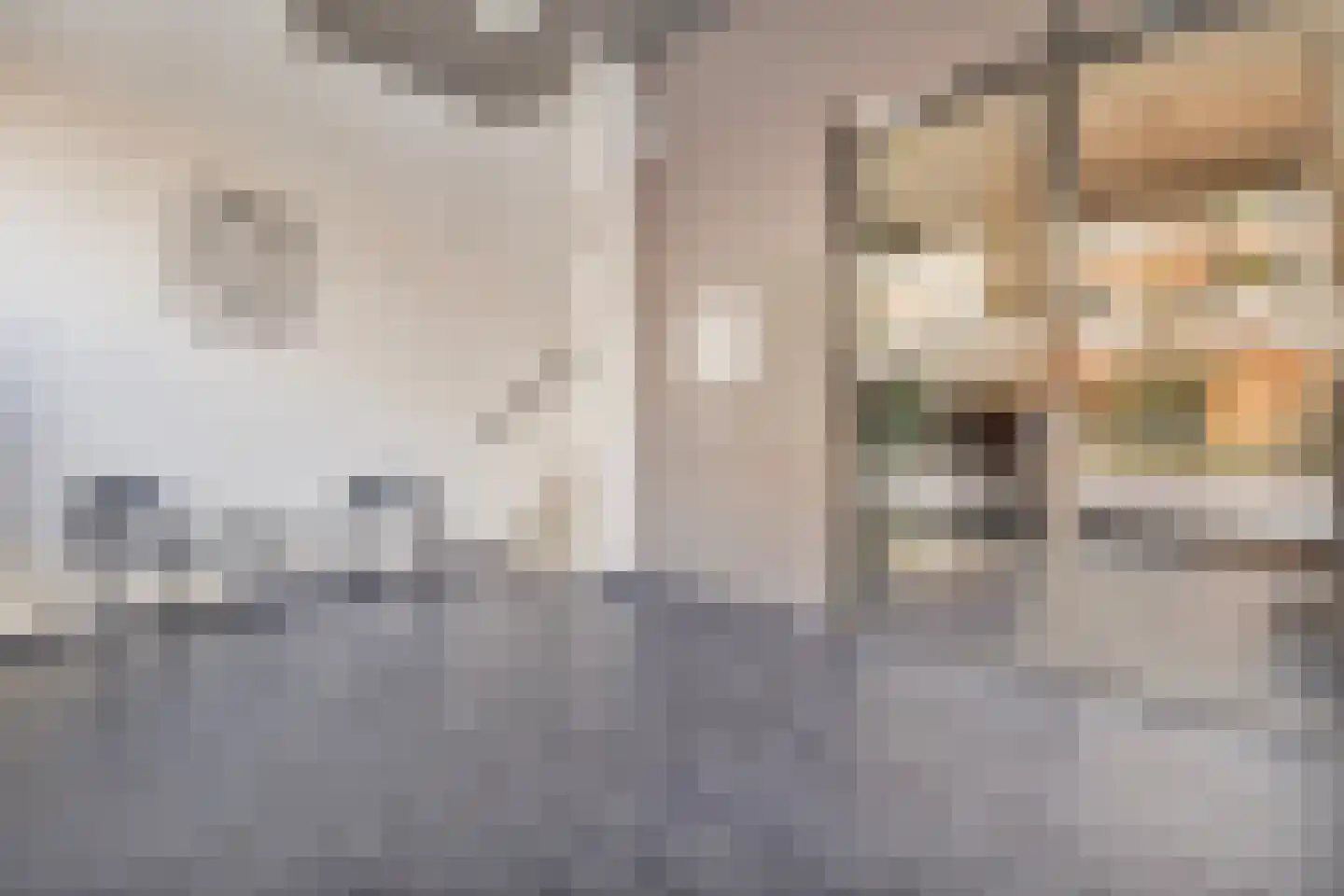 Gouden Leeuwplein 41 Venray thumbnail 8