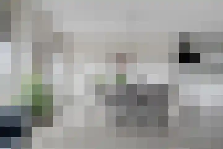 Gouden Leeuwplein 43 Venray thumbnail 14