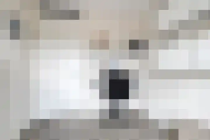 Gouden Leeuwplein 43 Venray thumbnail 23