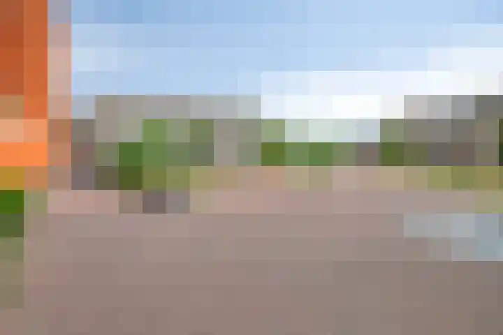 Gouden Leeuwplein 43 Venray thumbnail 34