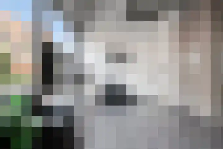 Gouden Leeuwplein 43 Venray thumbnail 4