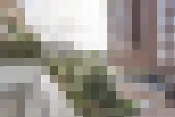 Gouden Leeuwplein 70 Venray thumbnail 21